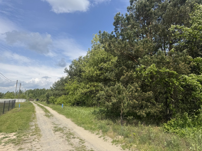 Działka Sprzedaż Sarzyna 1