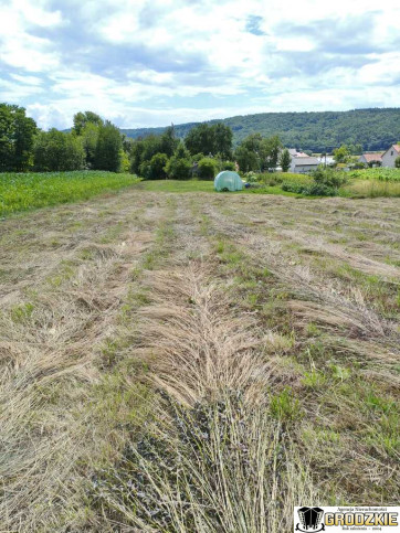 Działka Sprzedaż Ruszelczyce 11