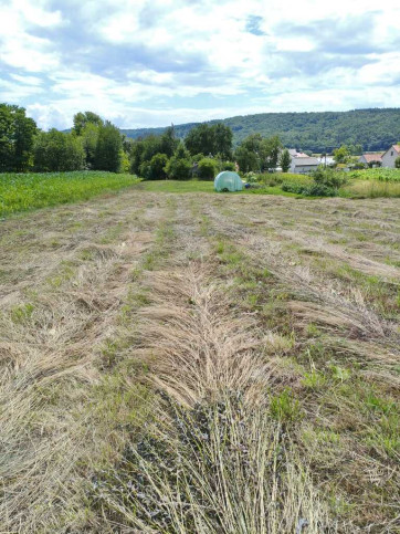 Działka Sprzedaż Ruszelczyce 11