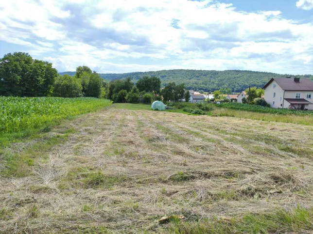 Działka Sprzedaż Ruszelczyce 19