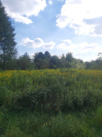 Działka Sprzedaż Wola Zarczycka