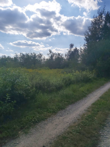 Działka Sprzedaż Wola Zarczycka 8