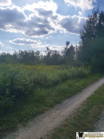 Działka Sprzedaż Wola Zarczycka 8