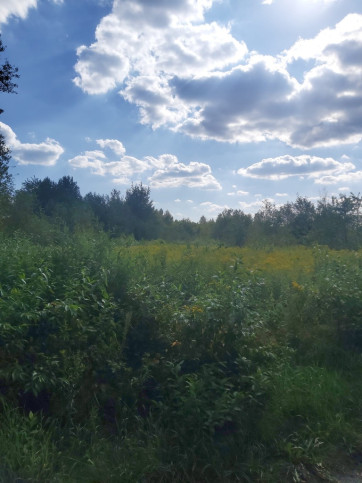 Działka Sprzedaż Wola Zarczycka 9