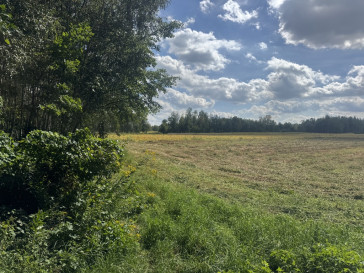 Działka Sprzedaż Maleniska
