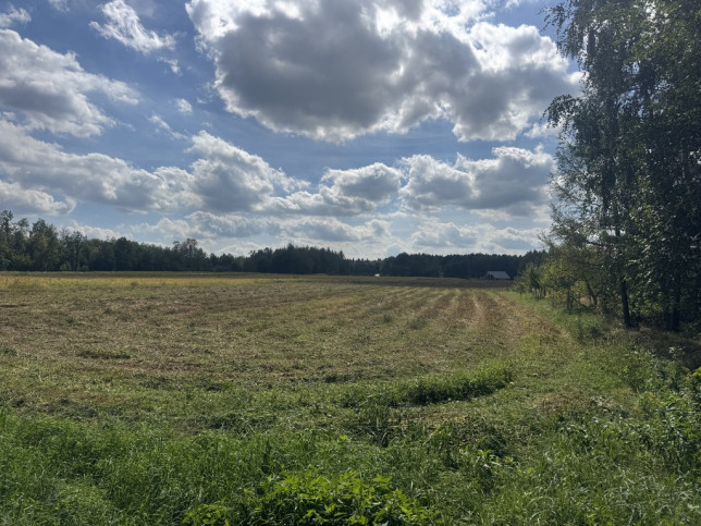 Działka Sprzedaż Maleniska 7