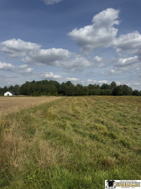 Działka Sprzedaż Maleniska