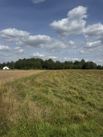 Działka Sprzedaż Maleniska