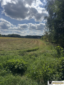 Działka Sprzedaż Maleniska