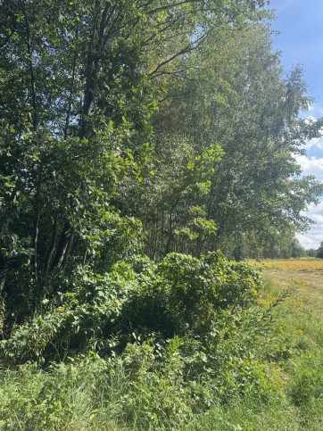 Działka Sprzedaż Maleniska 6
