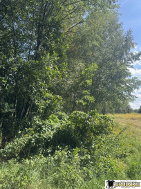 Działka Sprzedaż Maleniska
