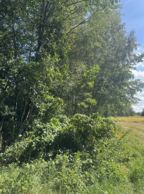 Działka Sprzedaż Maleniska