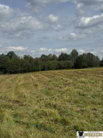 Działka Sprzedaż Maleniska