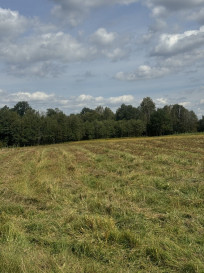 Działka Sprzedaż Maleniska