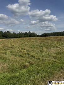 Działka Sprzedaż Maleniska