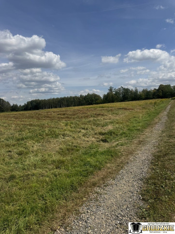 Działka Sprzedaż Maleniska 11