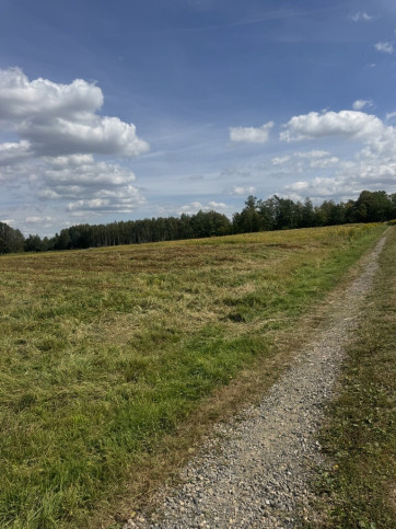 Działka Sprzedaż Maleniska 11