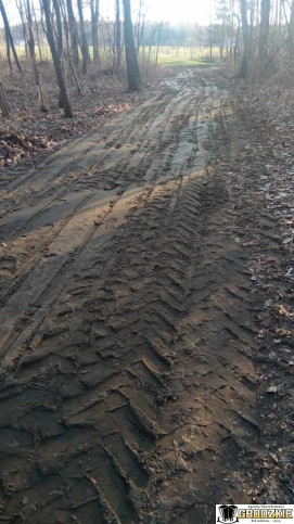 Działka Sprzedaż Jelna 9