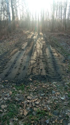 Działka Sprzedaż Jelna 13