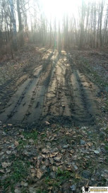 Działka Sprzedaż Jelna