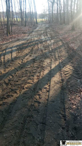 Działka Sprzedaż Jelna 15