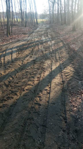 Działka Sprzedaż Jelna 15