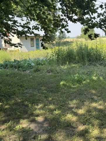 Działka Sprzedaż Przychojec 1