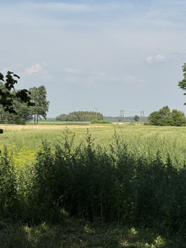 Działka Sprzedaż Przychojec 1