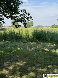 Działka Sprzedaż Przychojec