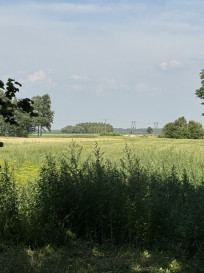 Działka Sprzedaż Przychojec