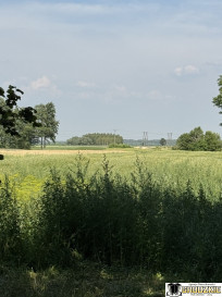 Działka Sprzedaż Przychojec