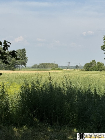 Działka Sprzedaż Przychojec 1