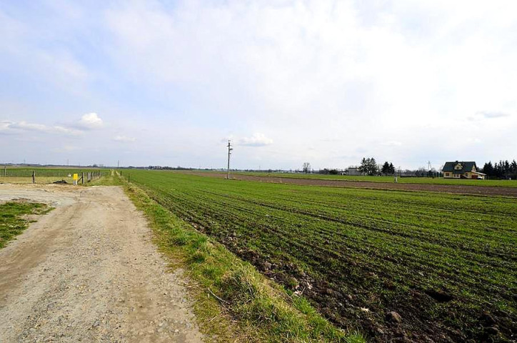 Działka Sprzedaż Wierzbna 3