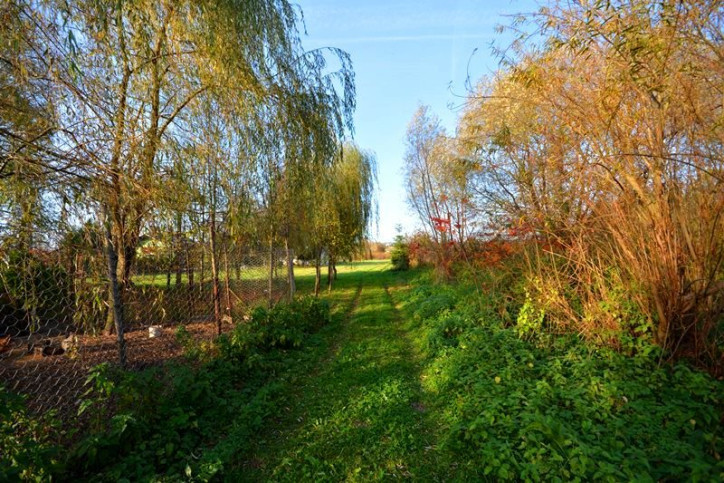 Działka Sprzedaż Ostrów 3