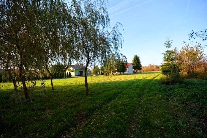 Działka Sprzedaż Ostrów 2